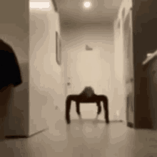 a spider is crawling down a hallway in a house .