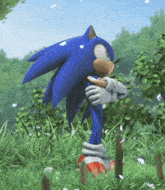 sonic the hedgehog is standing in the grass holding a leaf