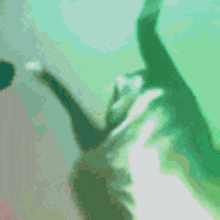 a blurry picture of a person 's hand holding a bottle of beer .