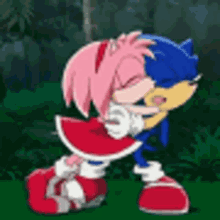 Sonic And GIF - Sonic And Amy GIFs
