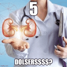 a doctor with a stethoscope is holding a clipboard and a kidney .