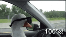 Duck With GIF