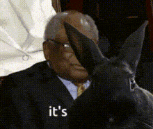 a man in a suit is holding a black rabbit and says it 's on the bottom