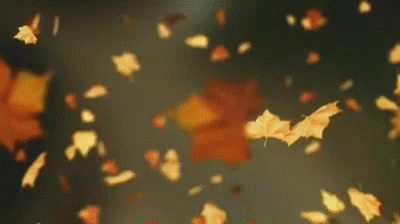 Crisp and Golden as an Apple Welcome Autumn with 13 Fall GIFs  The Year  of Halloween
