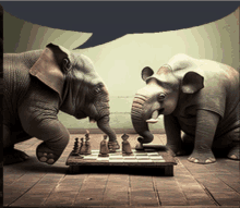 Elephant Chess GIF - Elephant Chess GIFs