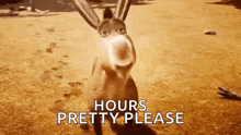 a donkey from shrek is standing on a dirt field .