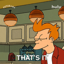 that%27s it philip j fry futurama that%27s the entirety of it that%27s all