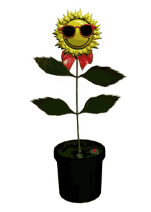 Sunflower Dance GIF - Sunflower Dance Flower GIFs