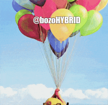 Bozo Hybrid Hybrid Defi GIF - Bozo Hybrid Hybrid Defi Up GIFs