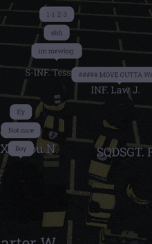 a screenshot of a video game where someone says shh im mewing