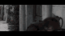 Lord Of The Rings Pippin GIF - Lord Of The Rings Pippin Nazgul GIFs