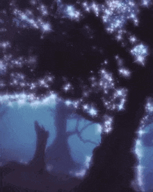 a dark forest with trees and a lot of stars in the sky .
