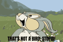 Bambee Bird GIF - Bambee Bird Stupid GIFs