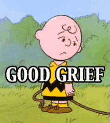 Good Grief GIF - Good Grief Charlie Brown GIFs