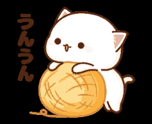 peach goma cat cute peach goma cat cute
