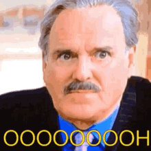 a man with a mustache and gray hair is wearing a blue shirt and tie .
