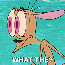 a cartoon character says " what the " in white letters