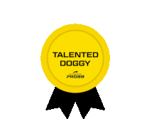 Gold Star Good Job Sticker - Gold Star Good Job Talented Stickers