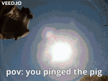you pinged