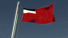 a red flag with a white and black stripe on it
