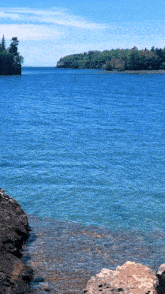 a large body of water with trees in the background