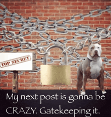 a dog standing next to a top secret sign and a padlock