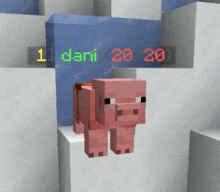a pig in a minecraft game with a score of 20/20