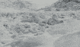 a black and white photo of a snowy landscape with rocks covered in snow .