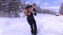 Carrying A Dog While Skiing Viralhog GIF - Carrying A Dog While Skiing Viralhog Skiing GIFs