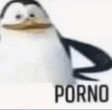 a close up of a penguin with the word porno written below it .