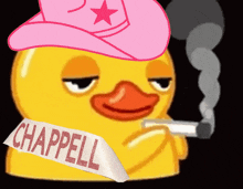 Duck Meme Smoking Duck GIF - Duck Meme Smoking Duck Chappell Roan GIFs