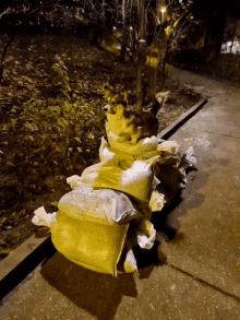 a dog sits on top of a pile of bags on the sidewalk