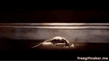 Pushup Mouse GIF - Pushup Mouse GIFs