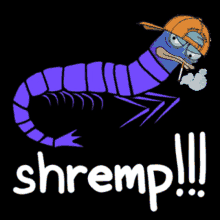 shrimps shrimp