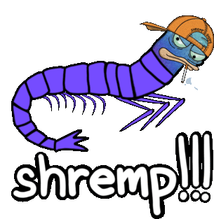 Shrimp Shremp Sticker - Shrimp Shremp Schremps Stickers