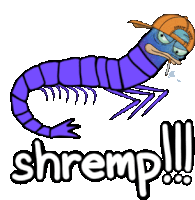 Shrimp Shremp Sticker - Shrimp Shremp Schremps Stickers