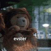 Evster Ted GIF - Evster Ted Tedster GIFs