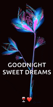 Sweet Dreams Good Night GIF