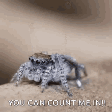 Spider Arms GIF - Spider Arms Hey GIFs