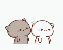 Mochi Poke Poke Cute Cat GIF - Mochi Poke Poke Cute Cat Cat Cartoon GIFs