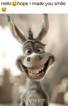 a picture of a donkey smiling with the words hello hope i made you smile say yes