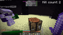 a screenshot of a minecraft game shows a kill count of two