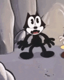 a black and white cartoon cat is standing on a rock .