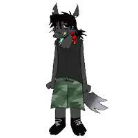 a cartoon drawing of a wolf wearing a black shirt and camo shorts