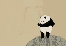 Dancing Panda GIF