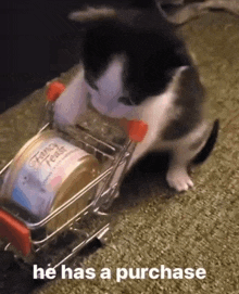 a cat is pushing a small shopping cart with fancy feast in it .