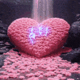 a heart made of pink roses with a waterfall behind it