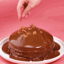 a chocolate cake with nuts on top of it
