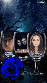 a couple of wine glasses with the names huck stardust charlotte on them