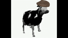 a cow wearing a hat on its head